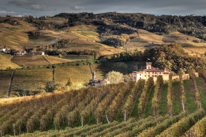 Italia - Travel Langhe Wine Tour