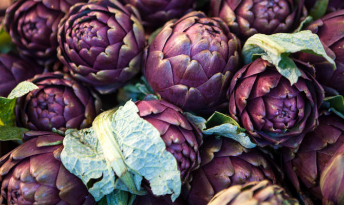 ortaggi, carciofi violetti