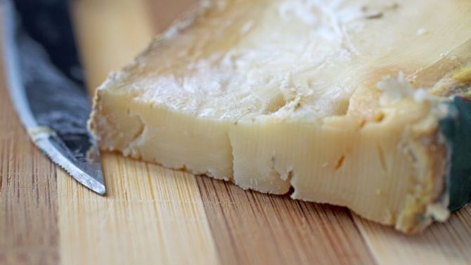 Toma Piemontese
