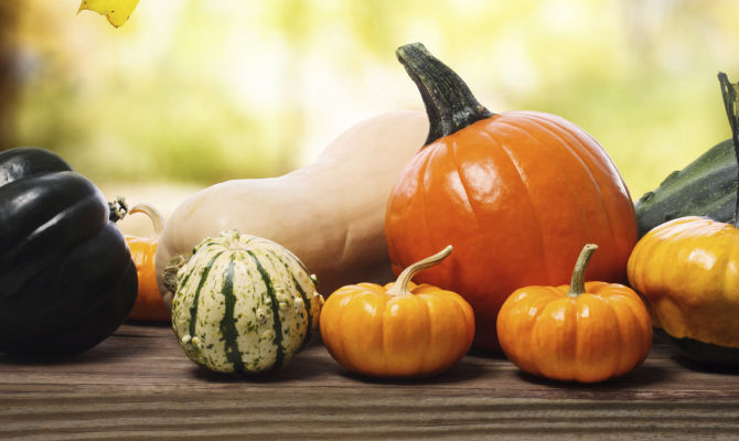 zucche autunno halloween ottobre ognissanti<br>