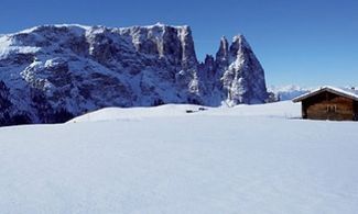 Masi Gallo Rosso Alto Adige