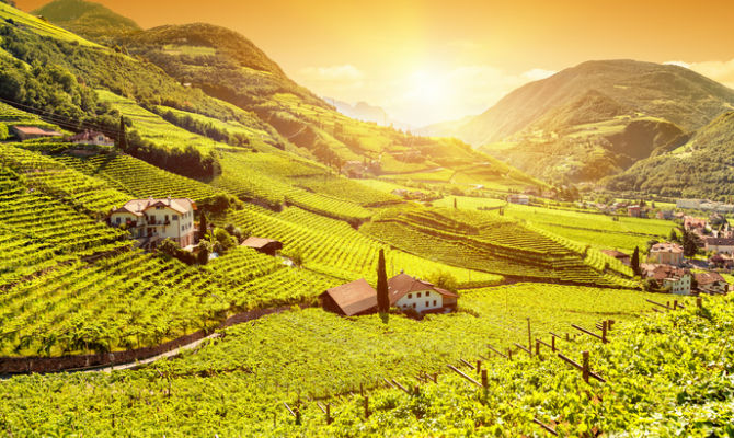 Strada del Vino dell'Alto Adige