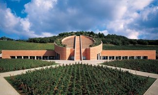Petra: una cantina d'autore tra le colline toscane