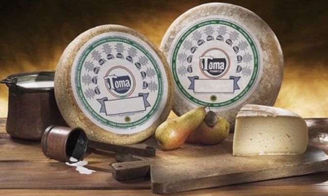 Toma Piemontese