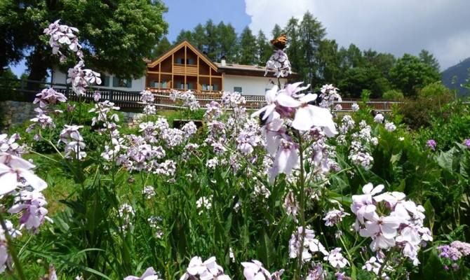 giardino botanico alpino viote
