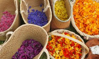 Raccolta di petali