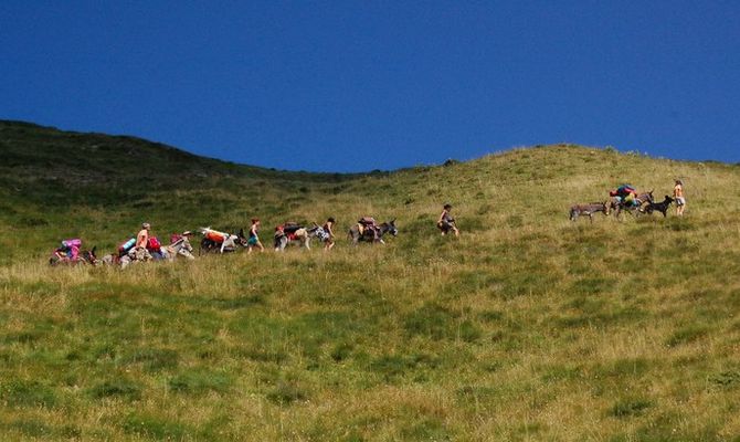 Trekking a dorso d'asino