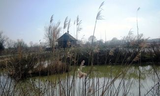 Primavera sul Delta del Po: 5 escursioni in barca 