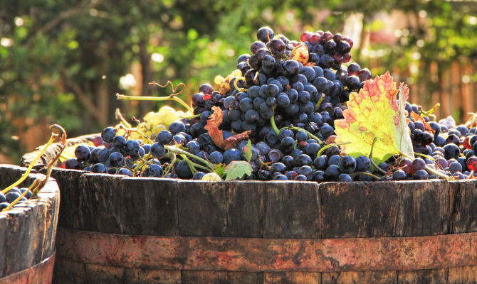 Paternopoli, vino e folklore alla festa della Macenata