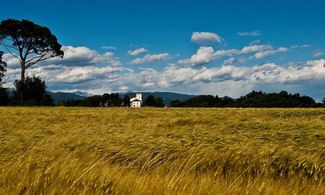 Le Ippovie della Valle del Cormor 