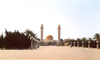 Tunisia, oasi e deserto 
