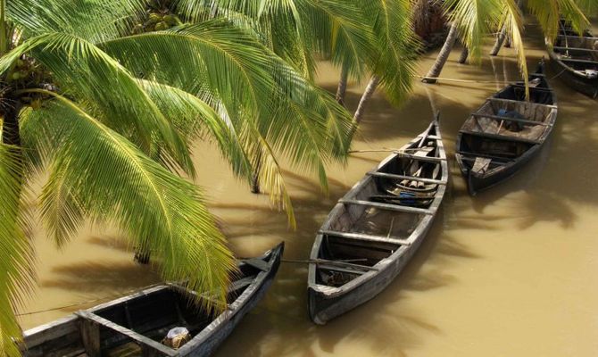 India del Sud canoe e palme