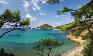 Elba: ecco perché è speciale la natura dell'isola 