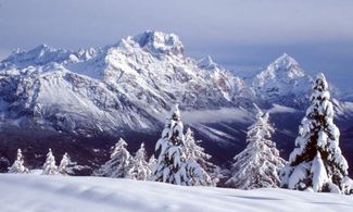Abeti innevati a Cortina