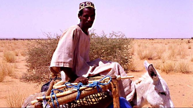 Atbara