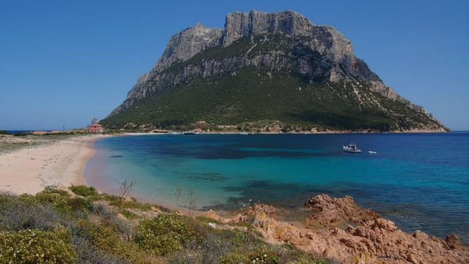 Isola della Tavolara