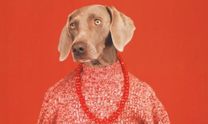 William Wegman 