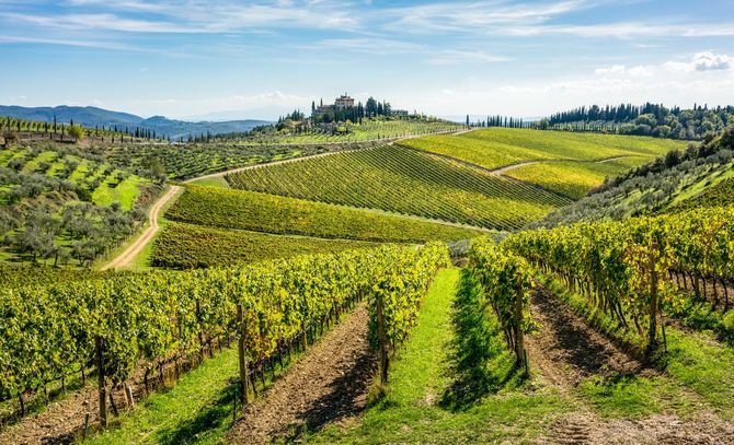 Degustazione di Chianti bio