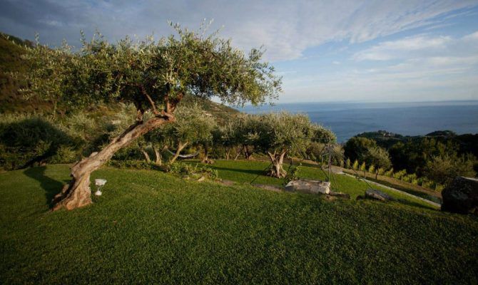 Belvedere