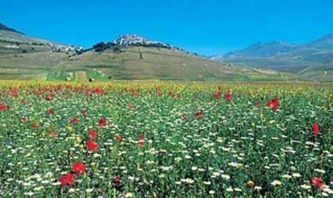 Castelluccio di Norcia