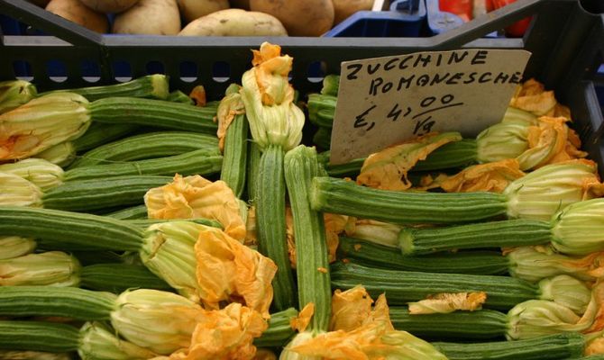 Zucchine romanesche