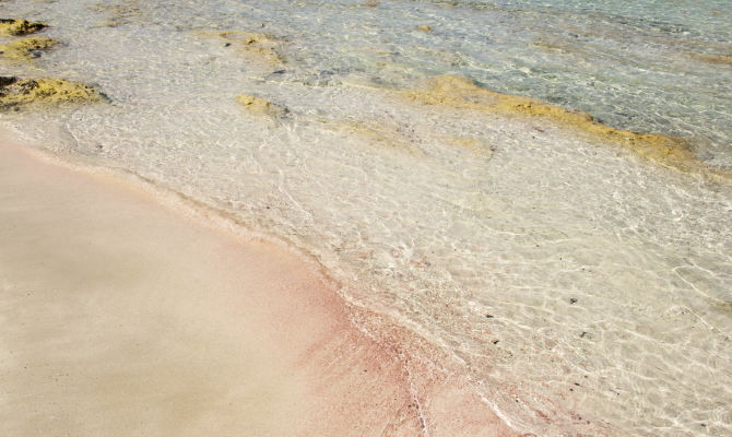 Spiaggia rosa 