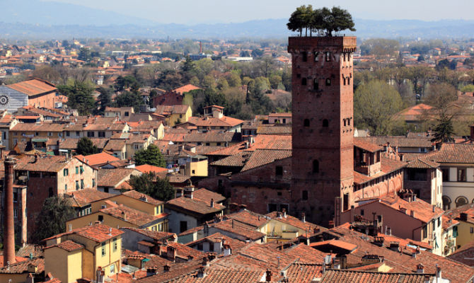 Torre Guinigi di Lucca