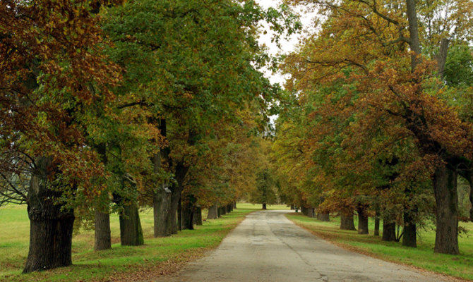 parco la mandria piemonte natura torino