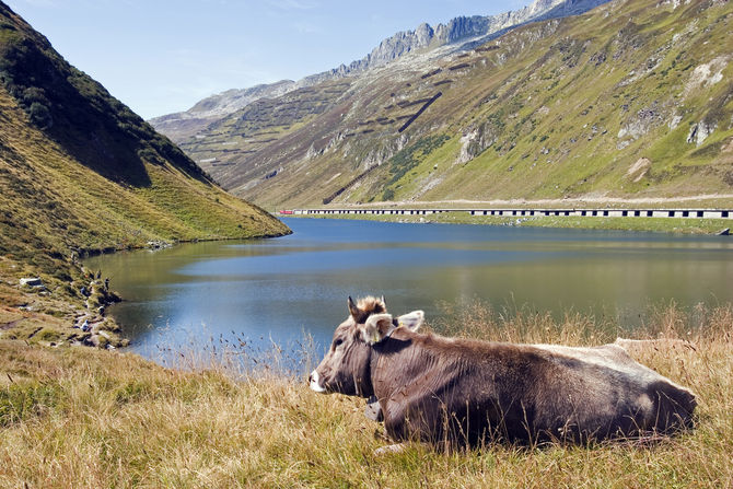 Glacier Express