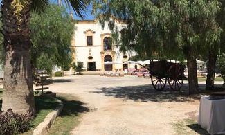 In Puglia dove l’olio si produce dal ‘500