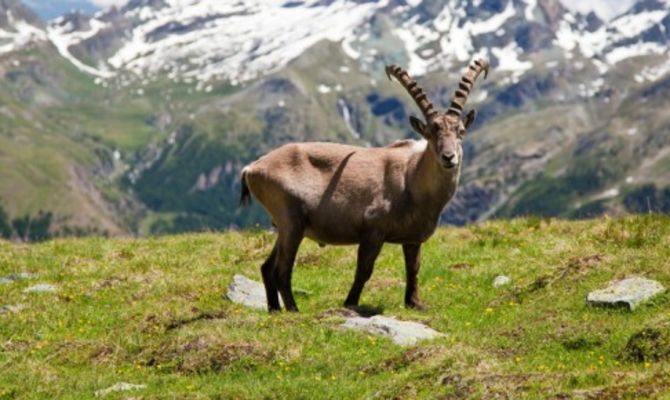 Parco Nazionale del Gran Paradiso