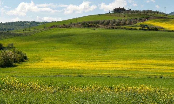 Colline nei pressi di Grosseto, Maremma toscana