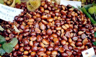 Autunno in Toscana: i sapori del Mugello