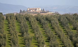 Campagna toscana dal Monte Amiata