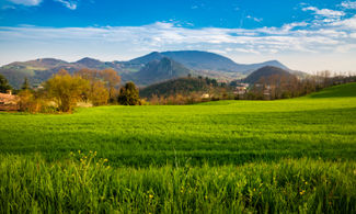 Filo d'Erba, oasi di natura e gusto in Veneto