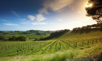 Natura e degustazioni tra le vigne del Monferrato