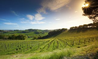 Lo gradiresti un goccio di vin santo?