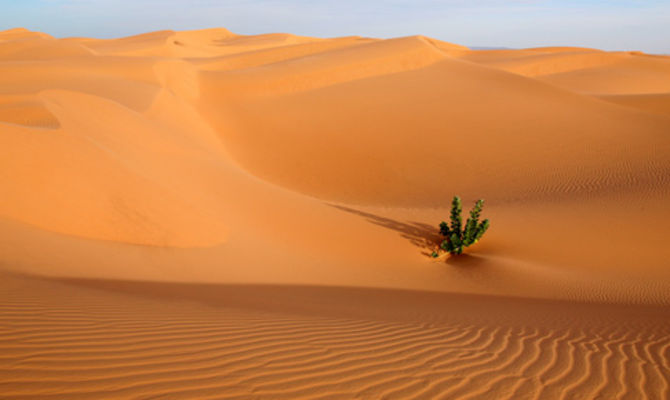 Deserto Mauritania