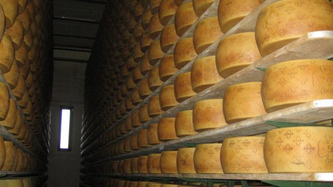 Grana Padano Dop foto