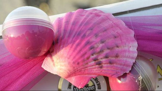Conchiglie rosa