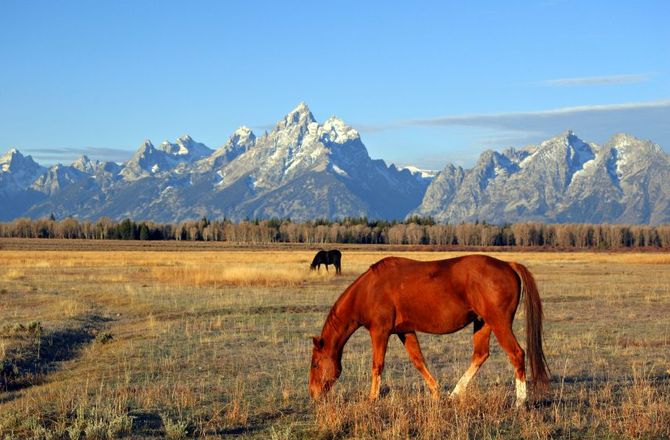 Jackson Hole