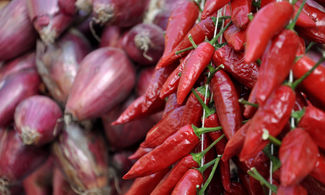 Calabria, i 25 anni del Festival del Peperoncino