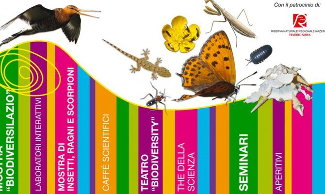 Festival della BiodiversitÃ  2012