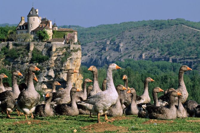 Cultura: Dordogne, Francia