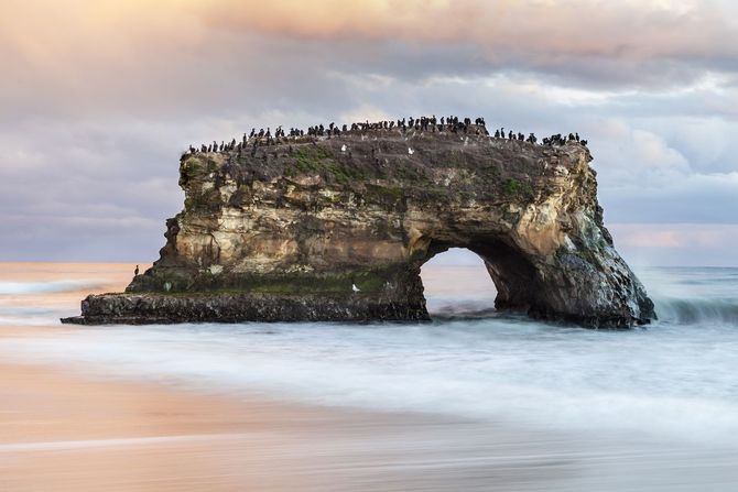 Natural Bridges State Beach
