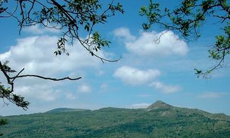 In Sicilia a gustare il “Nero”