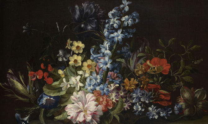 Jan van den Hecke