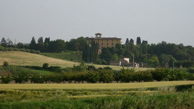 Cappelli di Paglia di Firenze foto