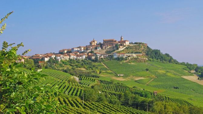 langhe rosa mosqueta foto