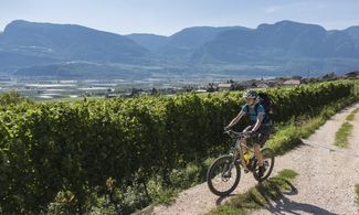 Strada del Vino in Alto Adige: 3 itinerari in bici